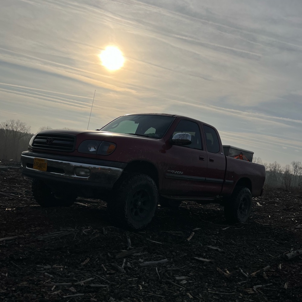 Meet your Posher, Ella